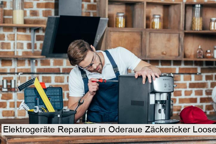 Elektrogeräte Reparatur in Oderaue Zäckericker Loose